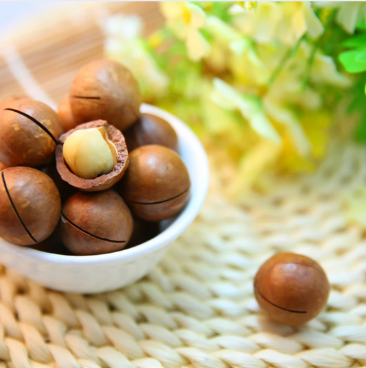 Kabuklu Makademya Fındığı Kavrulmuş